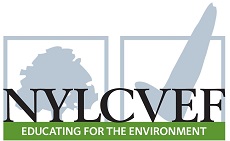 NYLCVEF logo